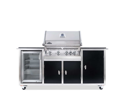 BLACKLINE Gasgrillstation Napoleon Pro 500