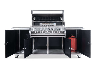 BLACKLINE Gasgrillstation Napoleon Pro 665