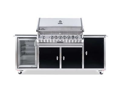 BLACKLINE Gasgrillstation Napoleon Pro 665